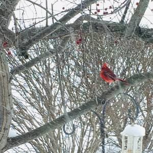 Meet your Posher, Peggy